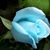 Cathy Doran's profile image