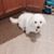 Sandra Sawyer's profile image