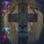 Celia Ybarra's profile image