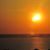 Michelle Slowikowski's profile image