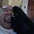 Steve Swihart's profile image