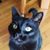 Anna Fruzzetti-mcdearmond's profile image