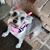 Elizabeth Powell's profile image