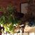 Carolyn F. Chryst's profile image