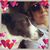 Audrey Burks Chandler's profile image