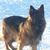 Tina Jernigan's profile image
