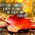 Nancy Braun Poliseno's profile image