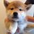 Yasushi Muto's profile image