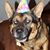 Dawn Michelle Chapman-Vance's profile image