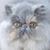 Liz Smith's profile image