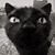Laura Ann Nelson's profile image