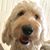 Bob Caldwell's profile image