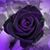 Laura Vukovits Weatherbe's profile image