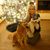 Kat Lange-Richards's profile image