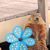 Volke Mon's profile image