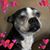 Emily Taggart's profile image