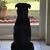 Lisa Schuster Batur's profile image