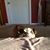 Heather Balderston Fremont's profile image