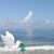 Carolyn Nason Hull's profile image