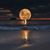 Cher Anne Wuertz's profile image