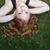 Hailey Black's profile image