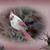 Shelly Crandall's profile image