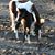 Chase Lipham's profile image