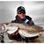 Jeff Marshall's profile image