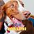Paula Jackson Potts's profile image