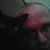 Jeremy Fling's profile image