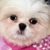 Susan Xu's profile image