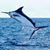 Robert H Byrd, Jr.'s profile image