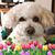 Denise Daley's profile image