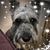 Renee Hemme Lawson's profile image