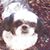 Joyce Lofton's profile image
