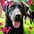 Emily Ducharme Robbins's profile image