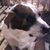 Darlene Schnebbe's profile image