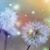 Susan Orrie Somers's profile image