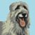 Lyn Robb's profile image