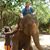 Lisa Waterman's profile image