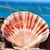 Donna McDaniel Rushing's profile image