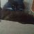 Maria Stephens's profile image