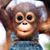 Mary Ann Hayle's profile image