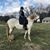 Roberta Walter Goodman's profile image
