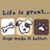 Melissa Whiteaker Jasek's profile image