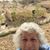 Janet Friedlander's profile image