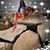 Christi Collins's profile image