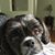 Kathy Cox's profile image