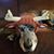 Noel Glazener's profile image