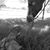 Kylia Culp Marshall's profile image